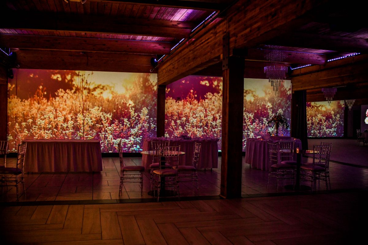 Wall projection A'BULAE