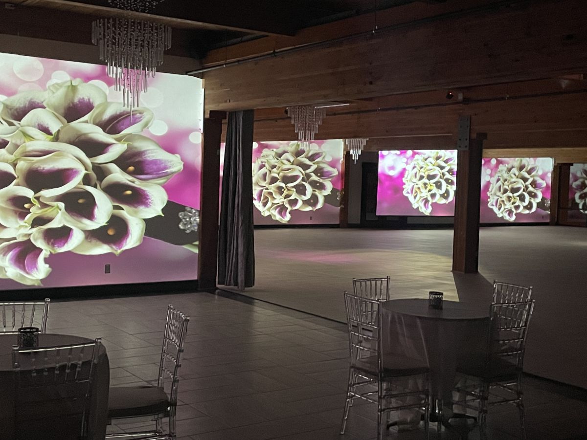 Flower AV wall projection